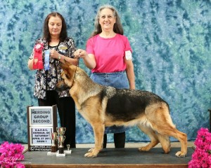 Cinder 4-27-13 Group 2 placement UKC