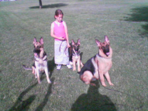 Sissy, Zorro, & Bo 2005