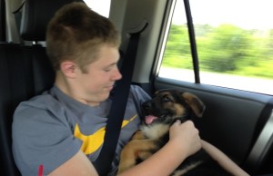 Ozzie ride home with big brother