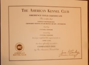 AKC CD title certificate 4-9-16