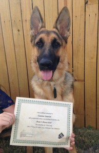 Salem 10-17-15 obedience class completion