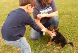 Tank Jr with new family before they picked him.