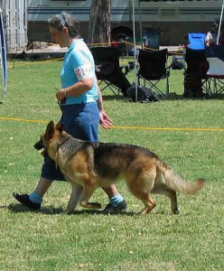 daisy-competing-may2005